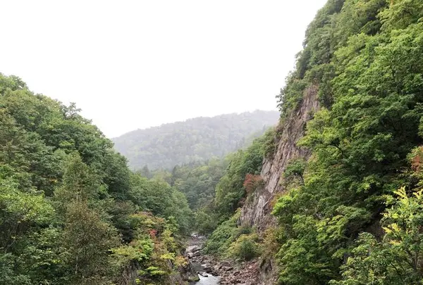 定山渓の写真・動画_image_441382