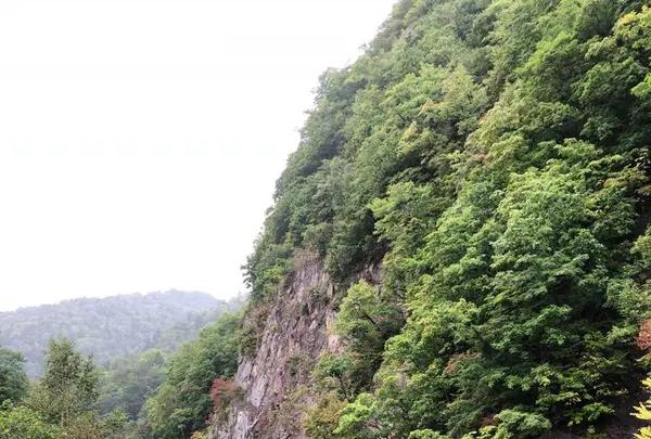 定山渓の写真・動画_image_441383