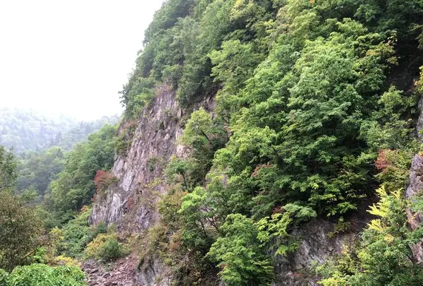 定山渓の写真・動画_image_441384