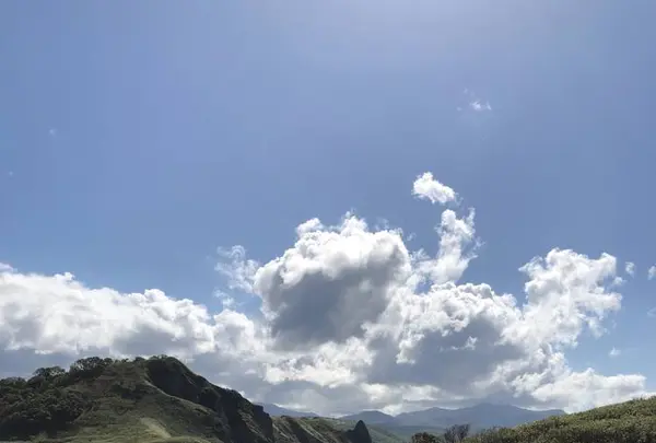 神威岬の写真・動画_image_441421