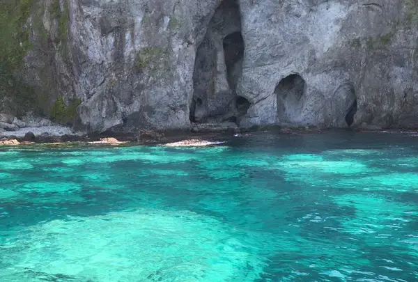 水中展望船ニューしゃこたん号の写真・動画_image_441457
