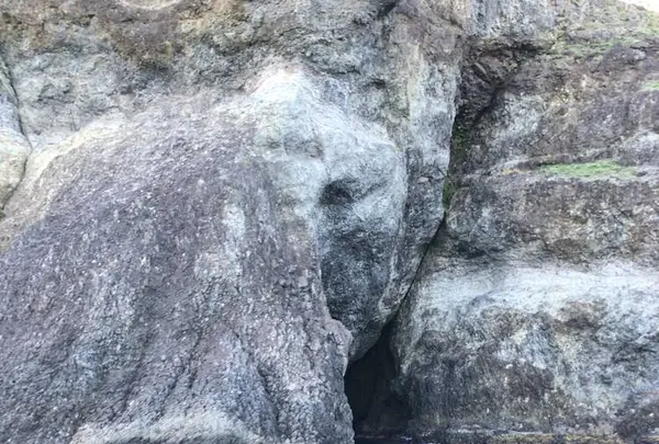 水中展望船ニューしゃこたん号の写真・動画_image_441458
