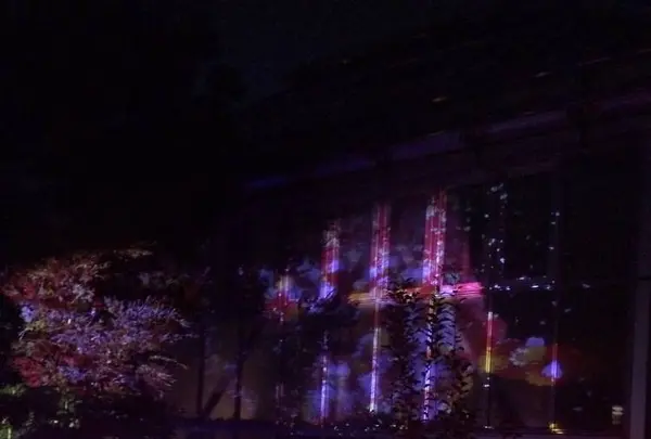 ときわ公園の写真・動画_image_441521