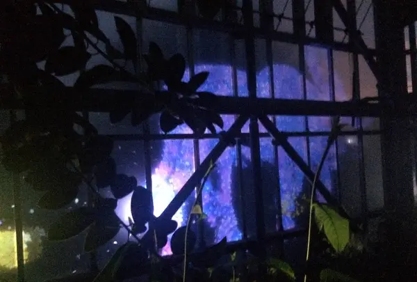 ときわ公園の写真・動画_image_441523