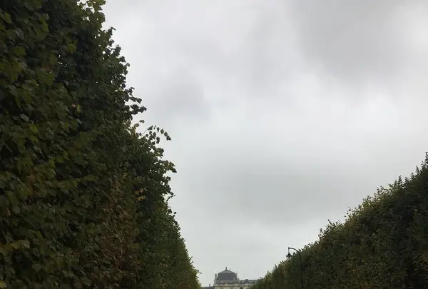 スターバックスの写真・動画_image_442447