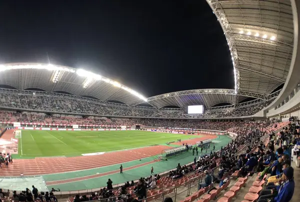 デンカビッグスワンスタジアムの写真・動画_image_442791