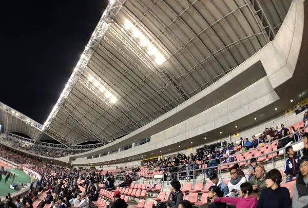 デンカビッグスワンスタジアムの写真・動画_image_442793