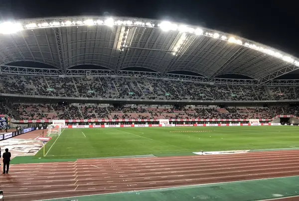 デンカビッグスワンスタジアムの写真・動画_image_442794