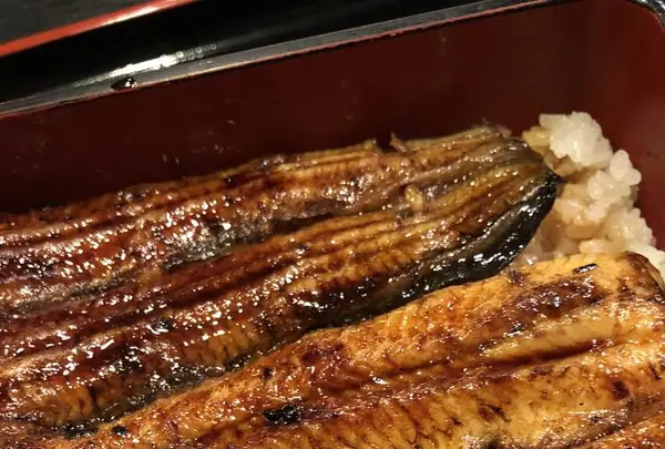 富水の写真・動画_image_445981