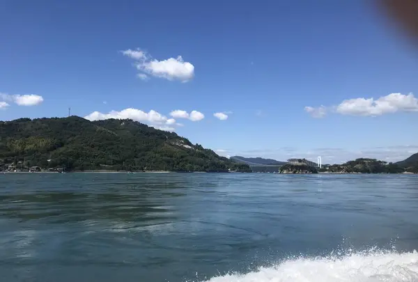 能島水軍の写真・動画_image_447666