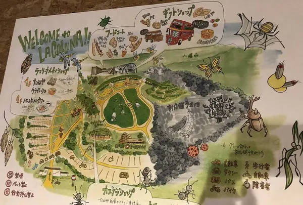 ラコリーナ近江八幡の写真・動画_image_448269