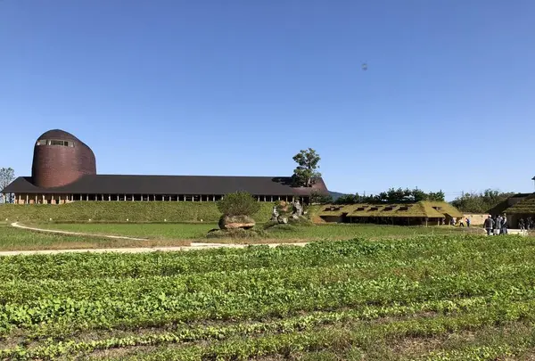 ラコリーナ近江八幡の写真・動画_image_448272