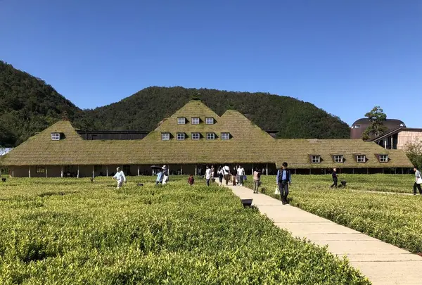 ラコリーナ近江八幡の写真・動画_image_448273