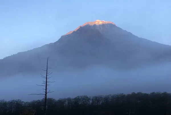 上高地の写真・動画_image_450871