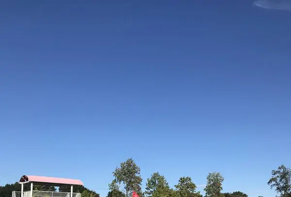 加須はなさき公園の写真・動画_image_451434