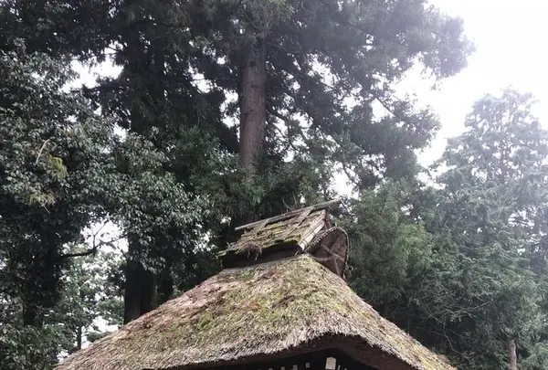 塩船観音寺の写真・動画_image_451728