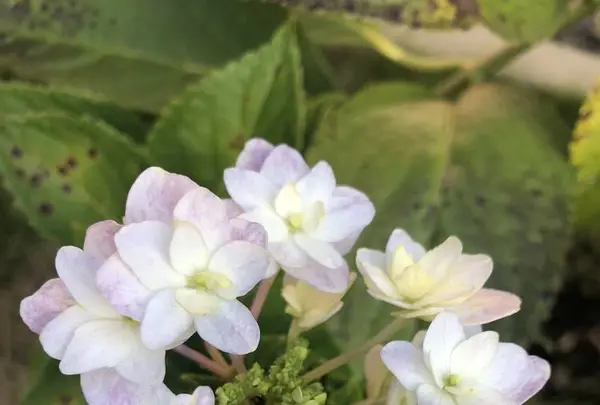 多聞天院の写真・動画_image_451734