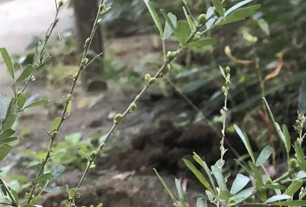 多聞天院の写真・動画_image_451736