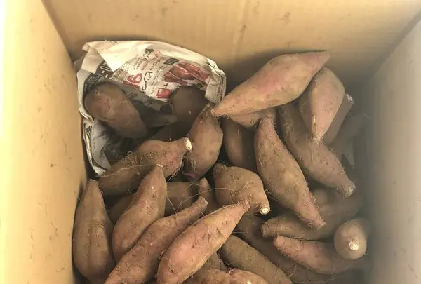 多聞天院の写真・動画_image_451741