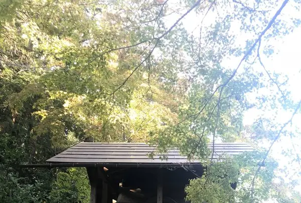 多聞天院の写真・動画_image_451745