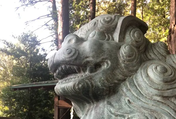 多聞天院の写真・動画_image_451747