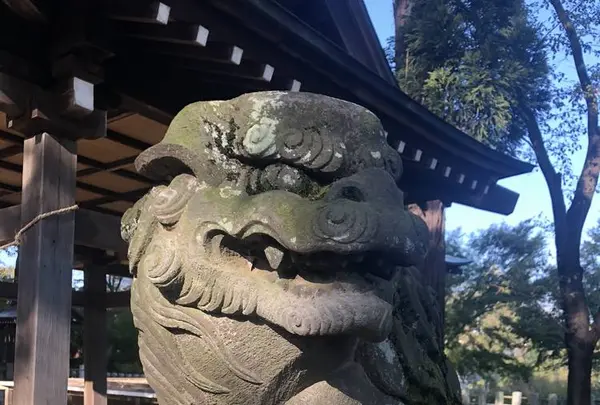 多聞天院の写真・動画_image_451748