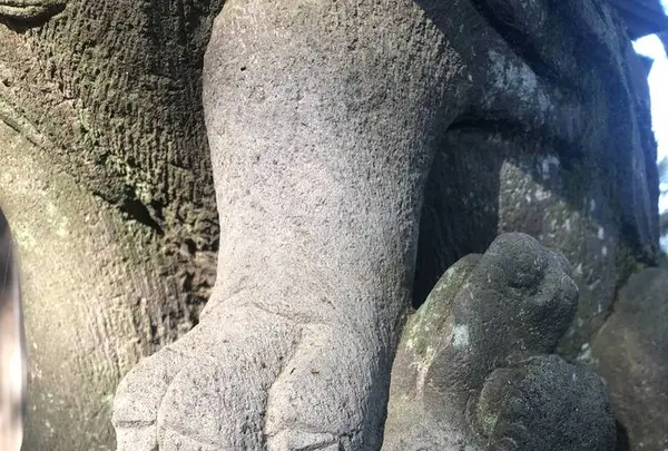 多聞天院の写真・動画_image_451751