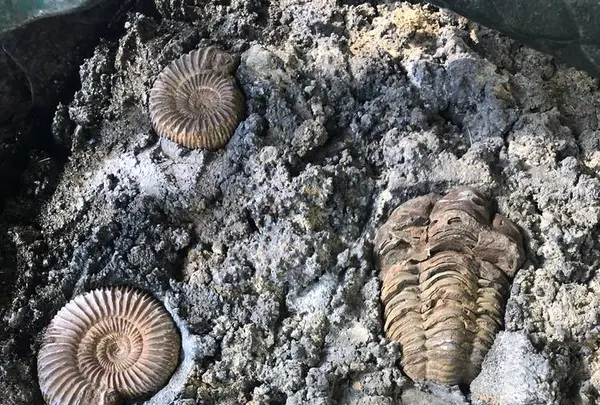 多聞天院の写真・動画_image_451753