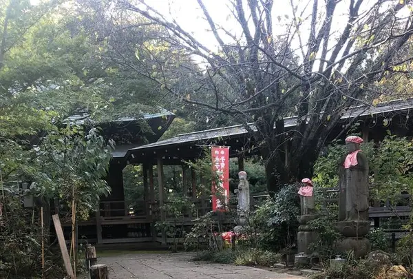 多聞天院の写真・動画_image_451755