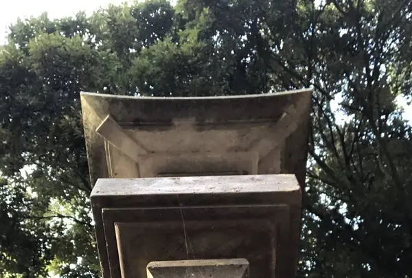 堀兼神社の写真・動画_image_451758