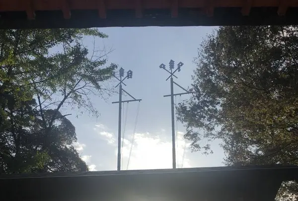 堀兼神社の写真・動画_image_451764