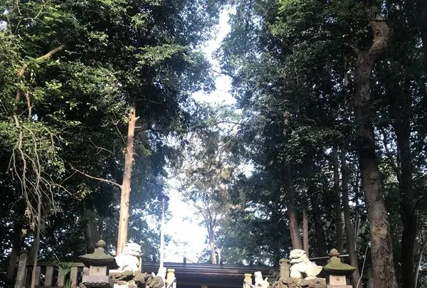 堀兼神社の写真・動画_image_451766