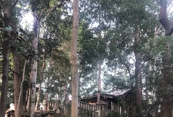 堀兼神社の写真・動画_image_451767