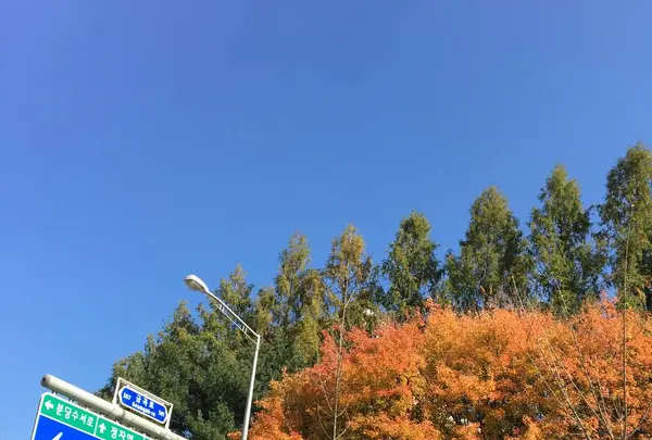 Jeongjayeogの写真・動画_image_451781