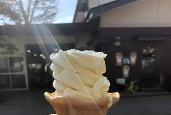 旧島田家住宅の写真・動画_image_452578