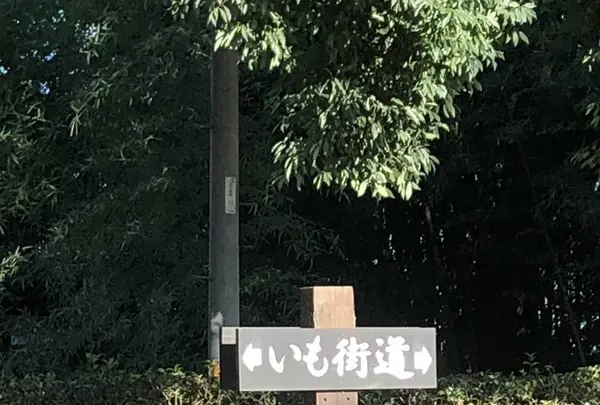 旧島田家住宅の写真・動画_image_452579