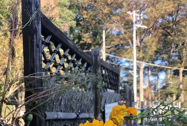 旧島田家住宅の写真・動画_image_452582