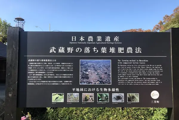 旧島田家住宅の写真・動画_image_452583