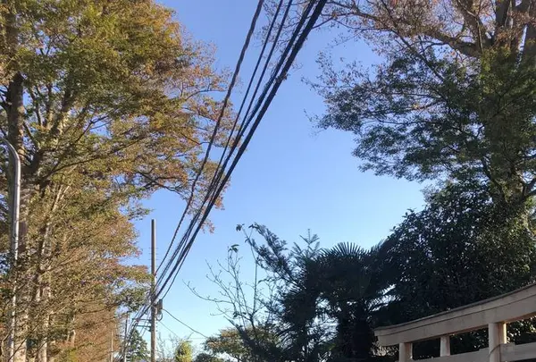 旧島田家住宅の写真・動画_image_452594