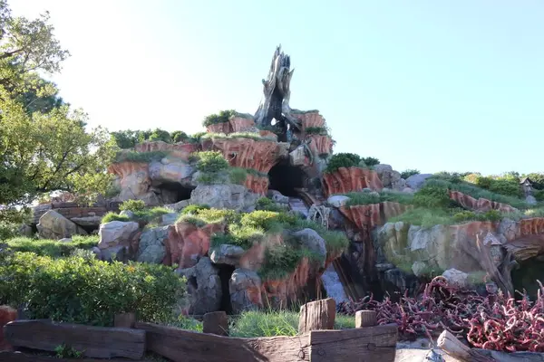 東京ディズニーランドの写真・動画_image_452679