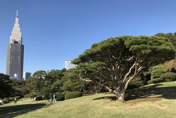 新宿御苑の写真・動画_image_452860