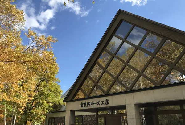 富良野チーズ工房の写真・動画_image_453349