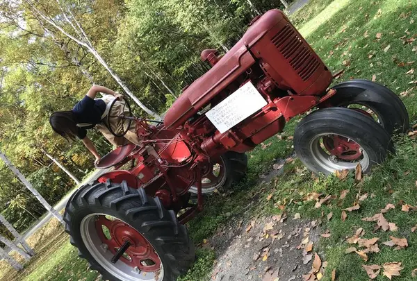 富良野チーズ工房の写真・動画_image_453350