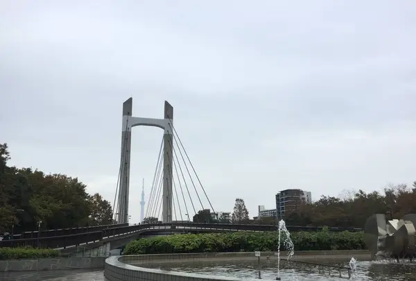 木場公園の写真・動画_image_454802