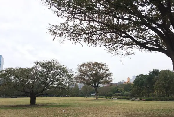 木場公園の写真・動画_image_454803