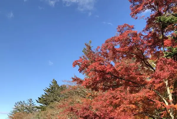 雲場池の写真・動画_image_454976