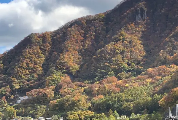 道の駅 八ッ場ふるさと館の写真・動画_image_455030