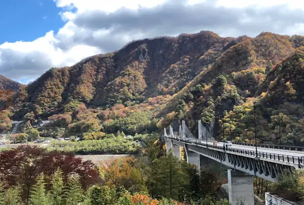 道の駅 八ッ場ふるさと館の写真・動画_image_455031