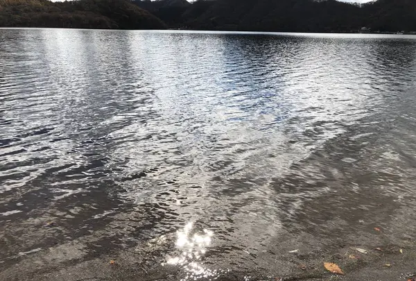 榛名湖の写真・動画_image_455037