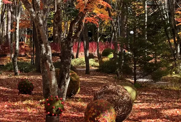 軽井沢高原教会の写真・動画_image_455042
